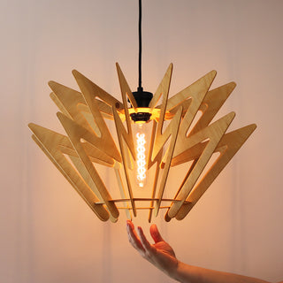 Suspension - La Flash
